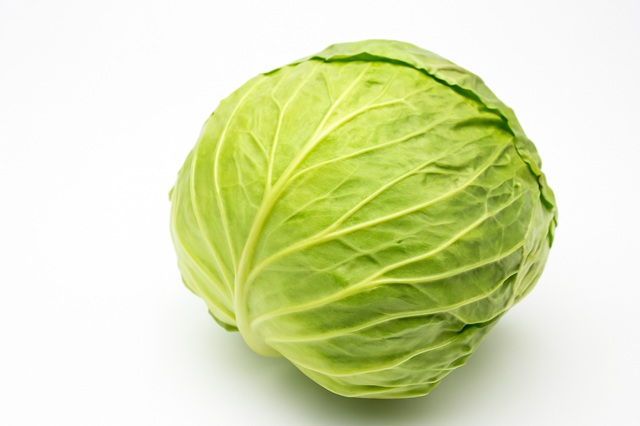 Cabbage