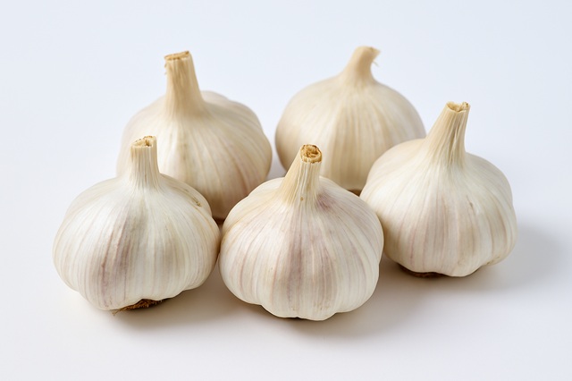 Garlic